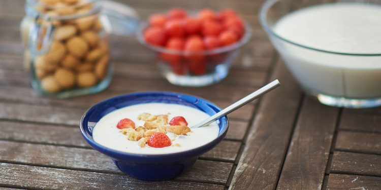 Koldskål med kammerjunkere og jordbær